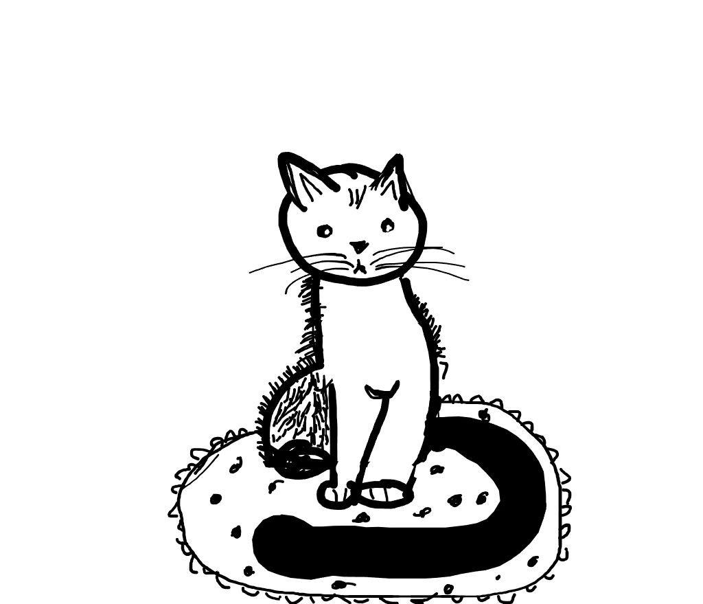 The finished child-drawn cat sitting on a patterned rug