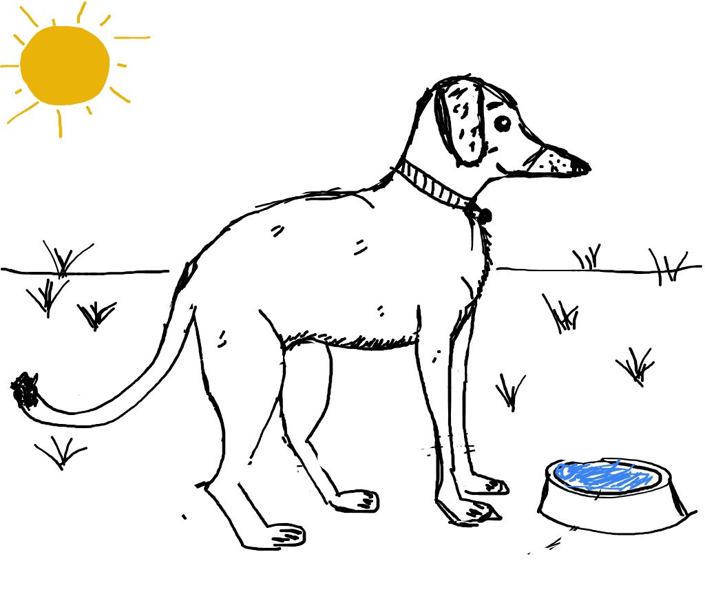 The finished child-drawn dog standing outside beside a blue water bowl